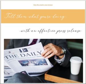 Mailchimp newsletter for a product offering and discount promotion